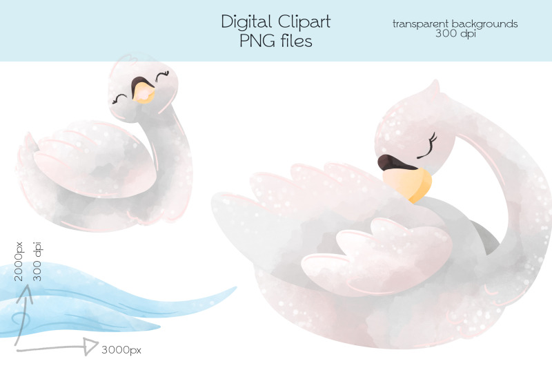 wild-swan-clipart-png-files