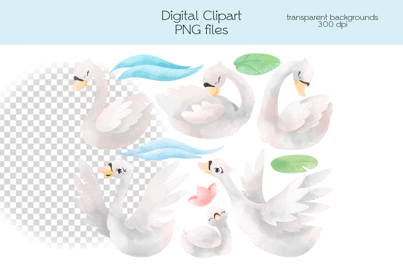 wild-swan-clipart-png-files