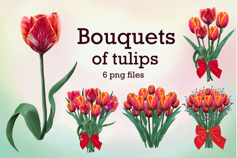 tulips