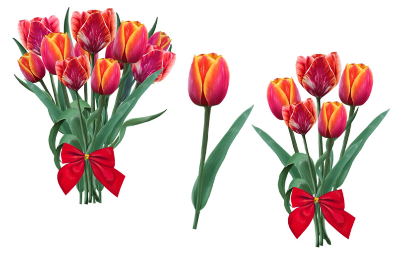 tulips