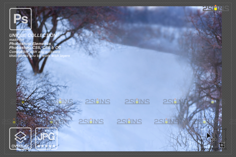 digital-winter-backdrop-dragon-overlay-tree-branches
