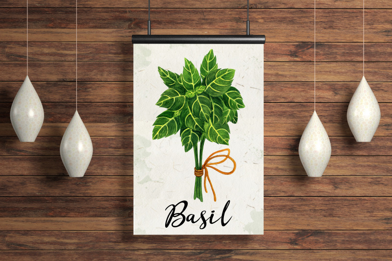 basil-herb-watercolor-clipart