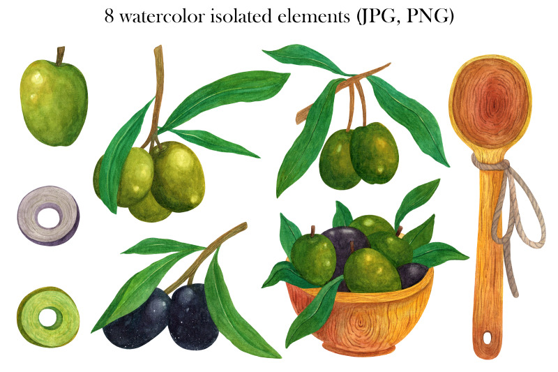 watercolor-olive-branch-clipart-hand-drawn-collection