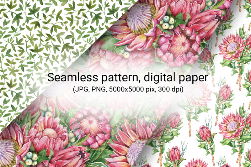 protea-flowers-watercolor-digital-paper-with-seamless-patterns