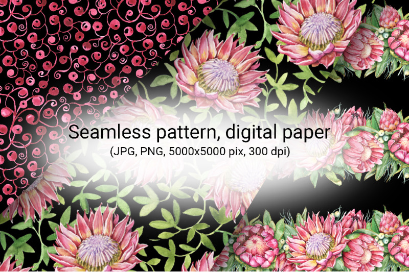 protea-flowers-watercolor-digital-paper-with-seamless-patterns