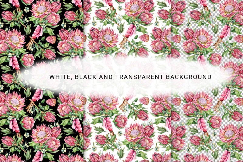 protea-flowers-watercolor-digital-paper-with-seamless-patterns