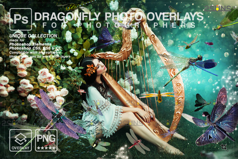 dragonfly-photo-overlay-gold-fireflies-overlays