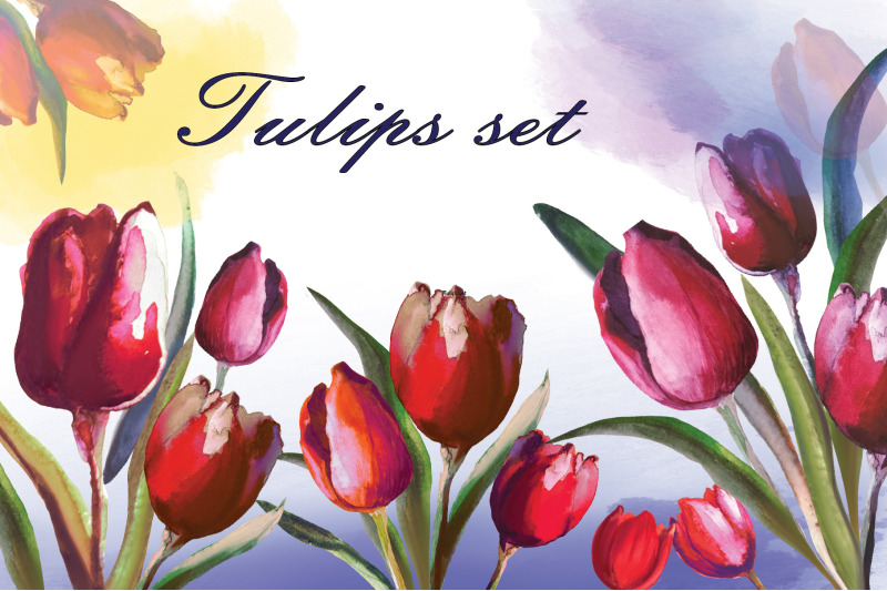 tulips