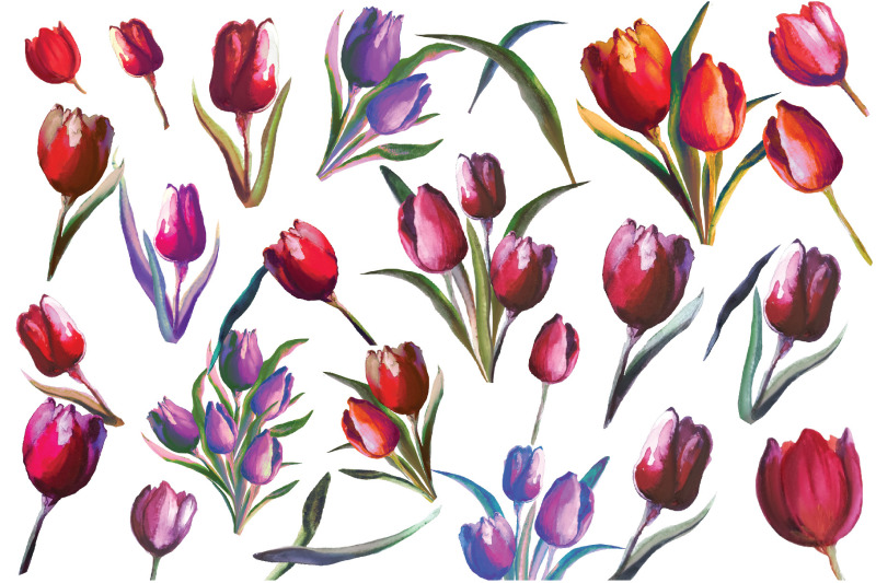 tulips