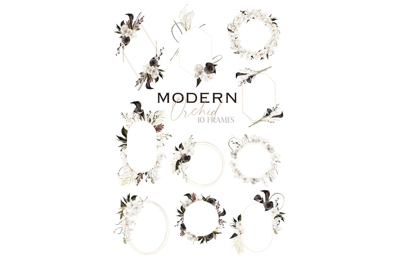 modern-orchid