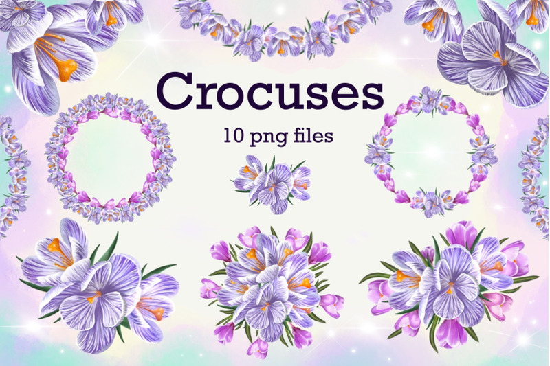 crocuses