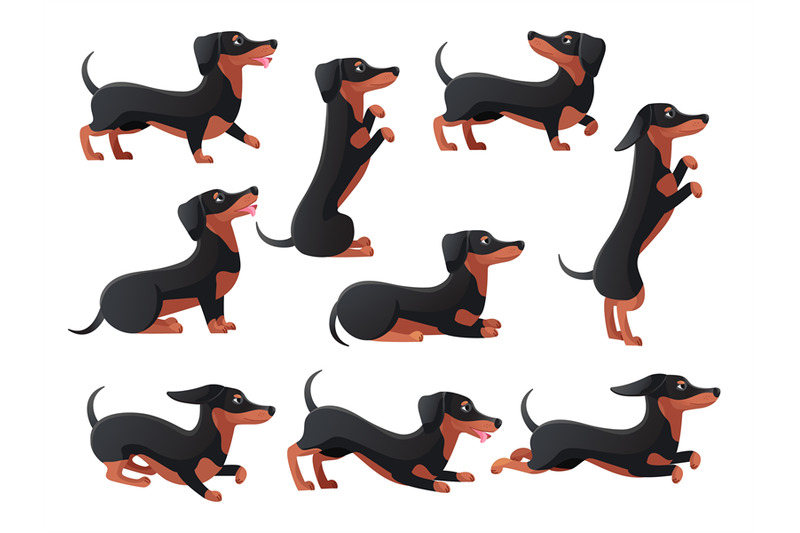 daushund-poses-cartoon-dachsand-dogs-characters-pose-pedigree-breed