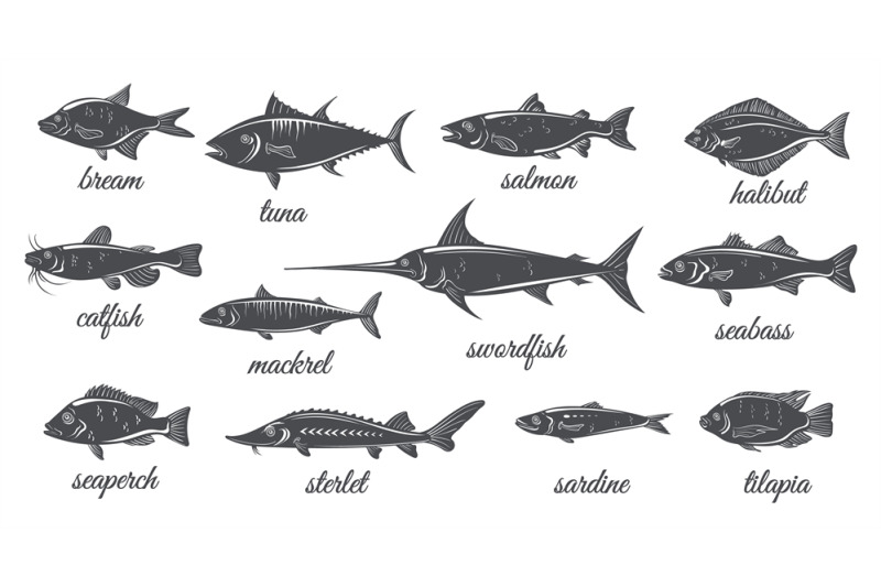 freshwater-and-marine-silhouette-fishes-fish-vintage-silhouettes-cat