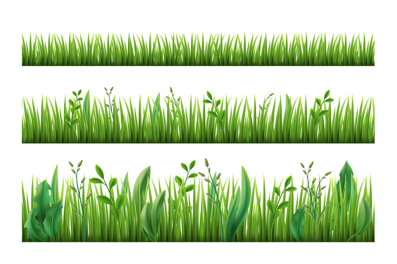 realistic-grass-growth-different-stages-green-plants-growing-fresh-h