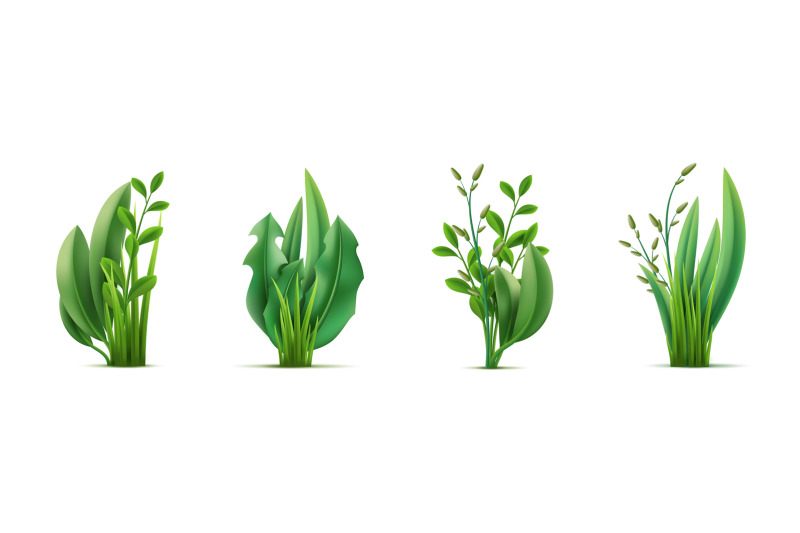 realistic-green-grass-bouquets-fresh-greenery-compositions-garden-he