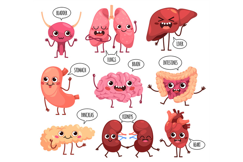 cartoon-cute-organs-characters-happy-healthy-human-organs-funny-kidn