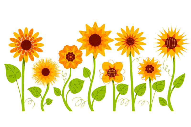 sunflowers-stems-and-leaves-decorative-garden-flowers-whole-plants-a