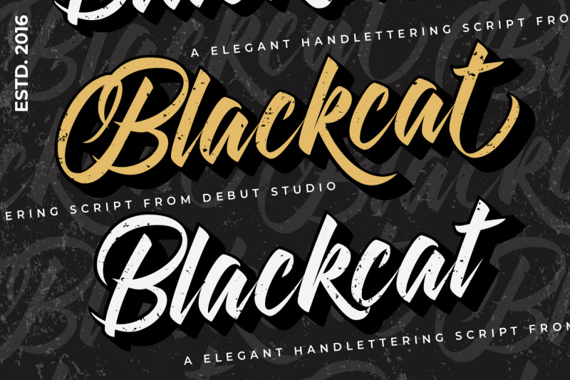 blackcat-script-1-deals