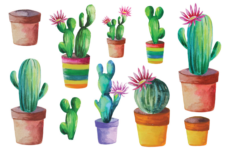 cactus-set