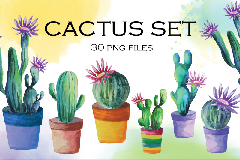 cactus-set