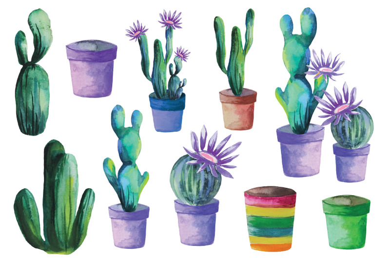 cactus-set