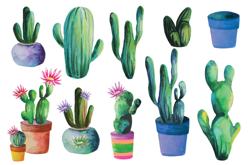 cactus-set