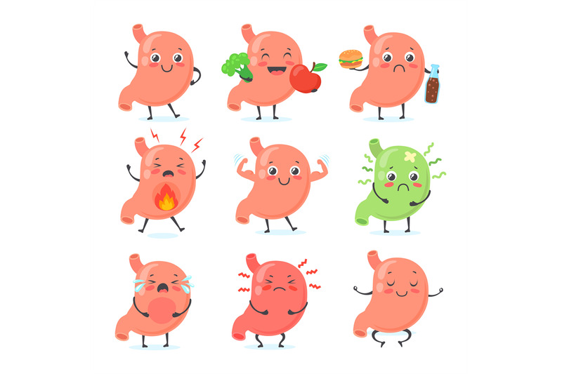 stomach-mascot-stomaches-medical-character-cute-face-healthy-abdomen