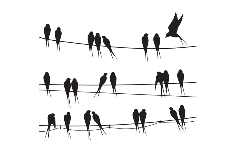 birds-sitting-wire-silhouette-flock-black-bird-on-telephone-electrici