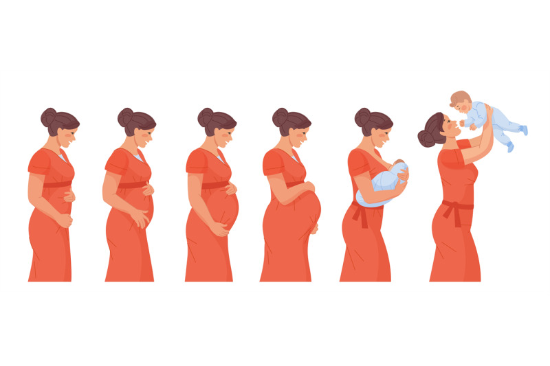 stages-of-pregnancy-stage-trimester-pregnant-woman-infographic-growt