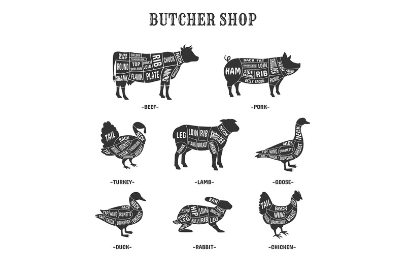 diagrams-for-butcher-shop-cut-diagram-farm-animal-for-butchers-lives