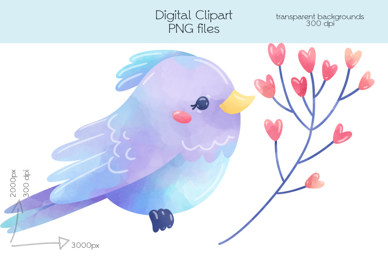 birds-clipart-png-files