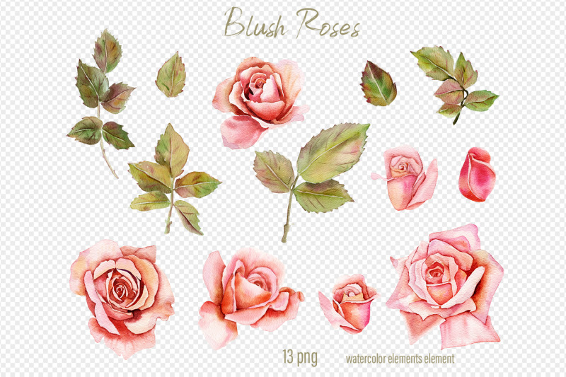 pink-roses-watercolor-flower-clipart