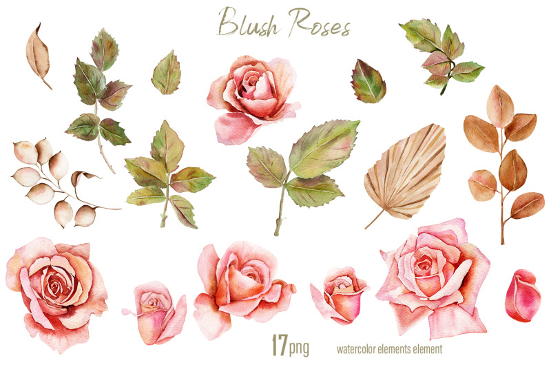 pink-roses-watercolor-flower-clipart