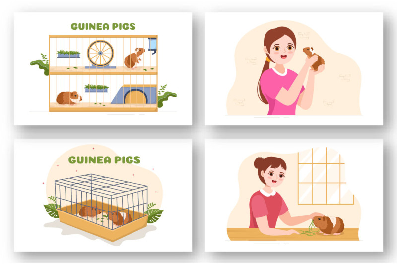 10-guinea-pig-pets-illustration