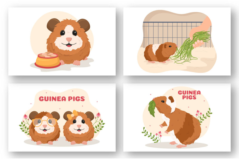 10-guinea-pig-pets-illustration