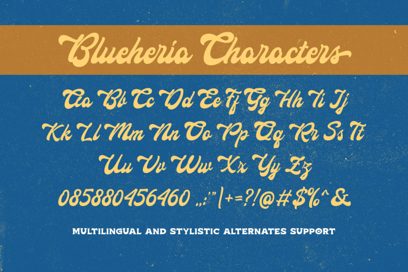 blueheria-display-script