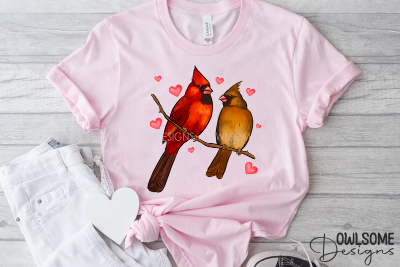 valentine-039-s-day-cat-cardinal-love-png-design