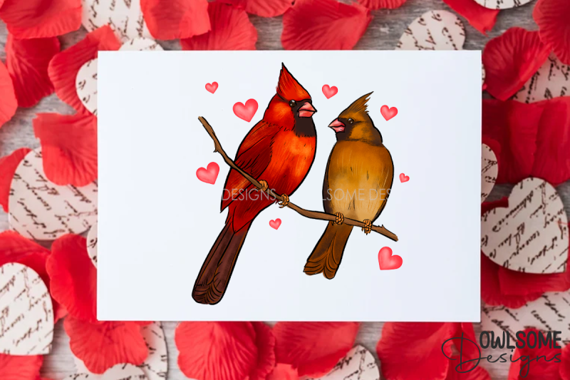 valentine-039-s-day-cat-cardinal-love-png-design