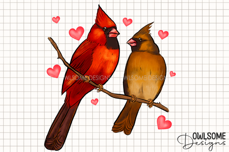 valentine-039-s-day-cat-cardinal-love-png-design