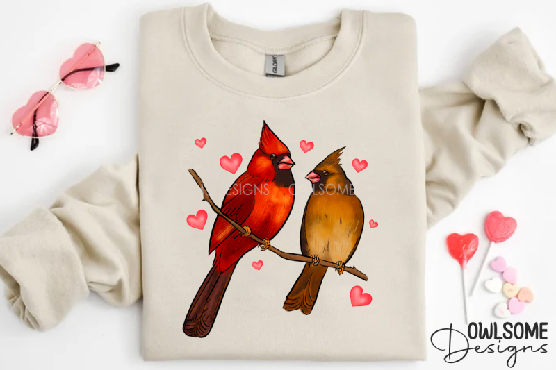 valentine-039-s-day-cat-cardinal-love-png-design