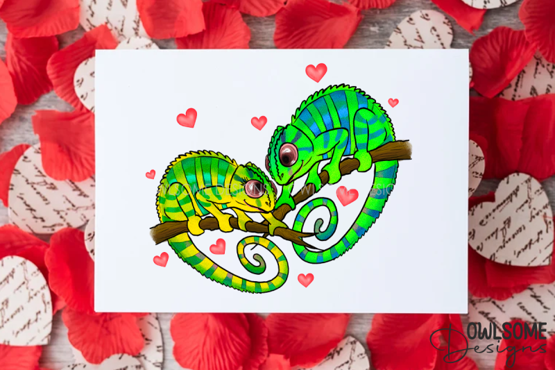 valentine-039-s-day-chameleon-couple-love