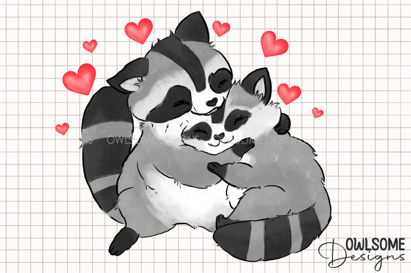 valentine-039-s-day-raccoon-couple-png-design