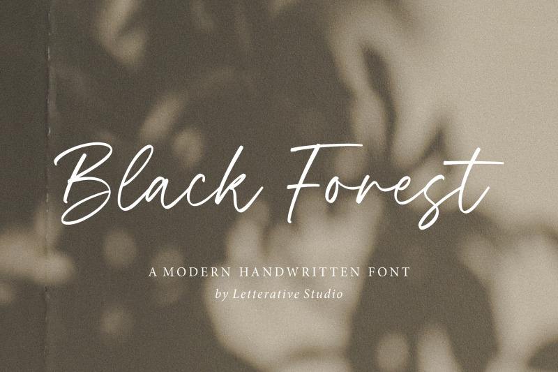 black-forest-modern-handwritten-font