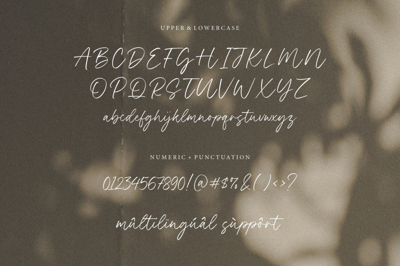 black-forest-modern-handwritten-font