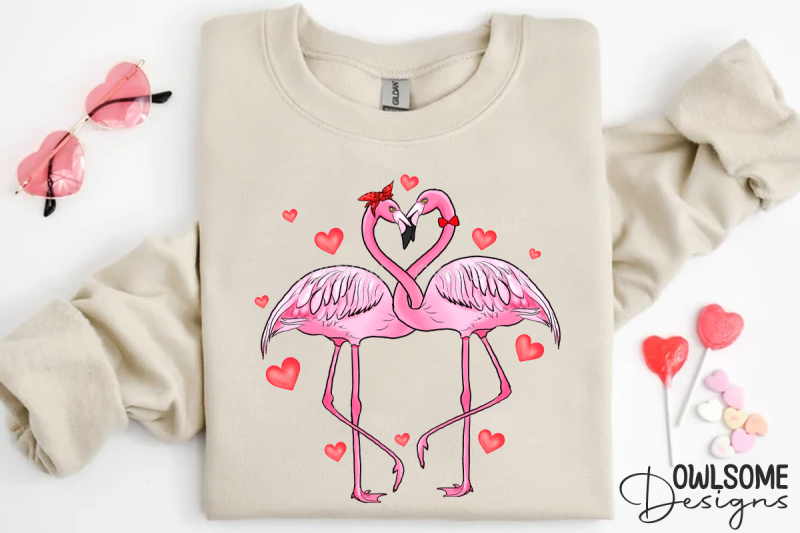 valentine-039-s-day-flamingo-couple-love-png-design