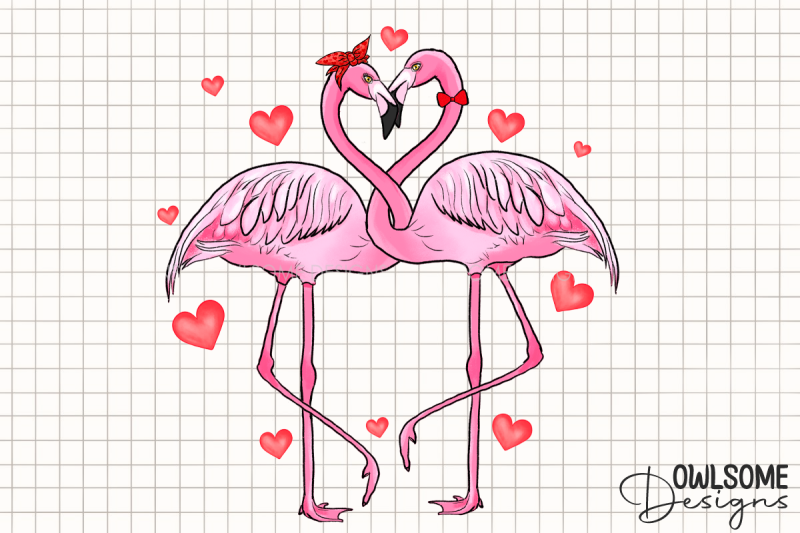 valentine-039-s-day-flamingo-couple-love-png-design