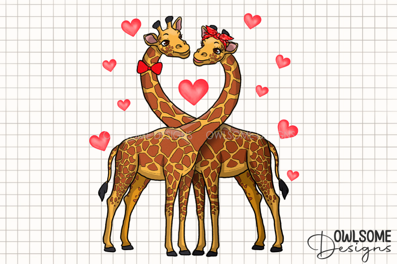 valentine-039-s-day-giraffes-couple-png-design