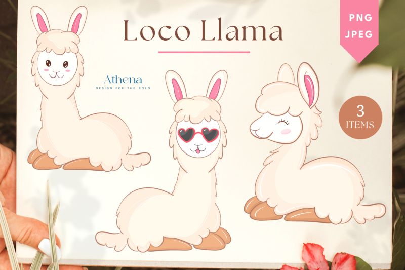 athena-039-s-llama-cute-animal