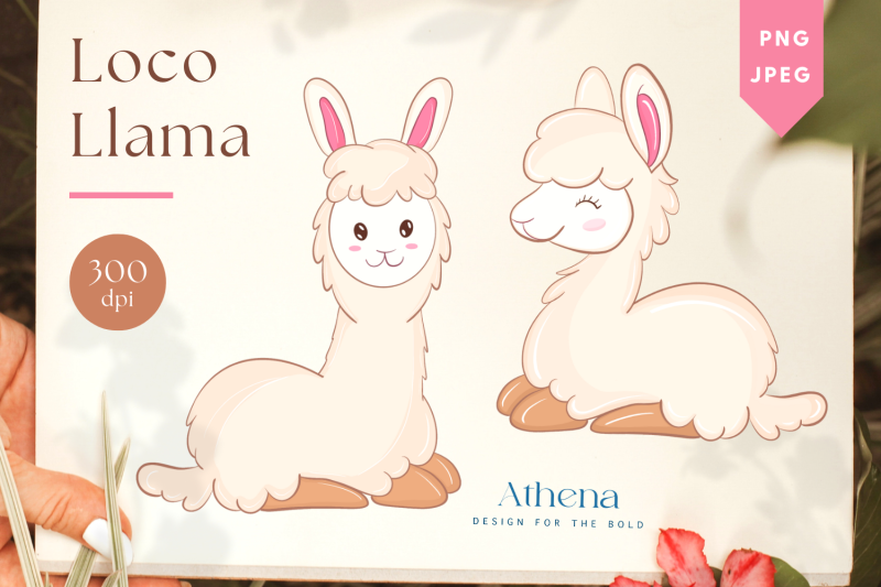 athena-039-s-llama-cute-animal