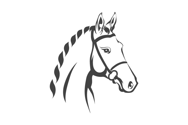 horse-head-monochrome-emblem-isolated-on-white